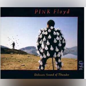 Pink Floyd Delicate Sound of Thunder Cover with Black and White